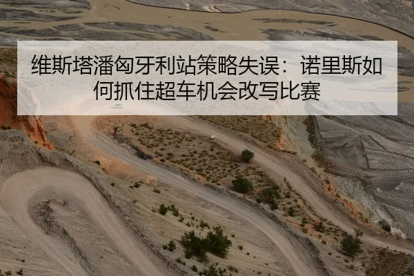 维斯塔潘匈牙利站策略失误：诺里斯如何抓住超车机会改写比赛